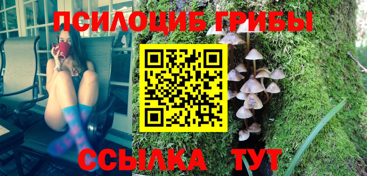 цены наркотик  Галлюциногенные грибы Magic Shrooms  Вход с VPN  Углич 